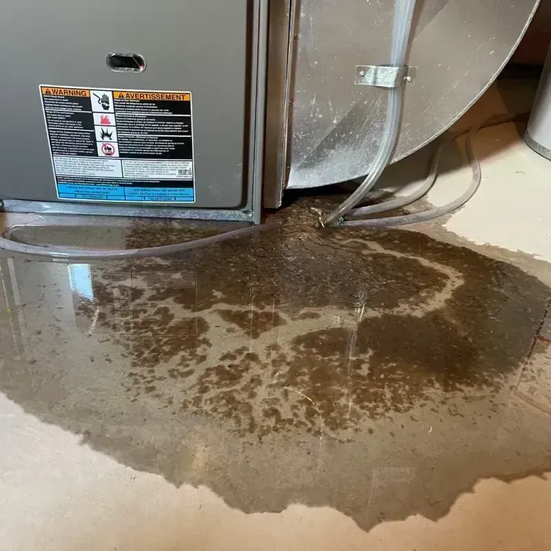 Appliance Leak Cleanup in Marshall County, IL